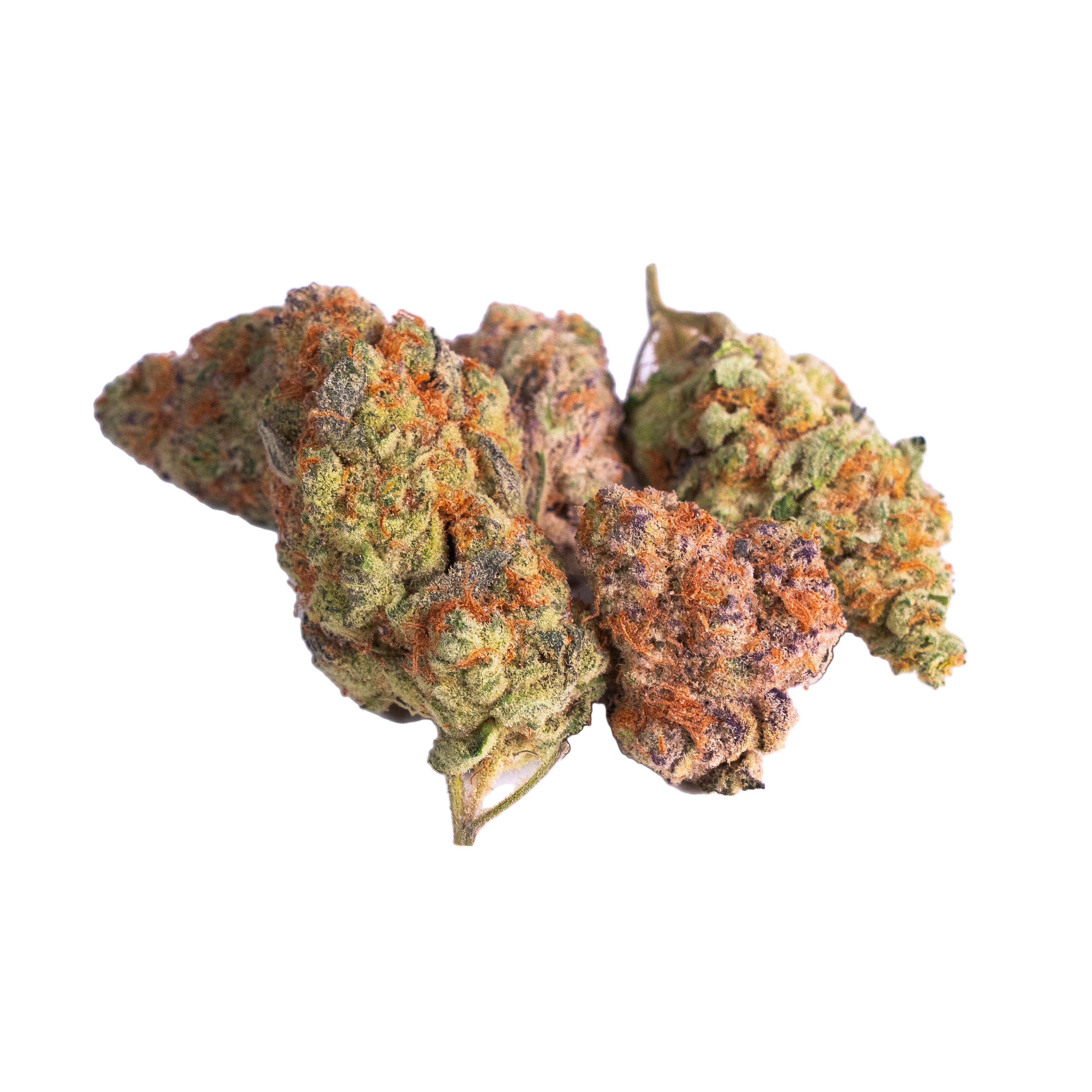 邪 ゴースト・オーメン Jealousy x Oreoz (Greenhouse) | Preston Herb Co